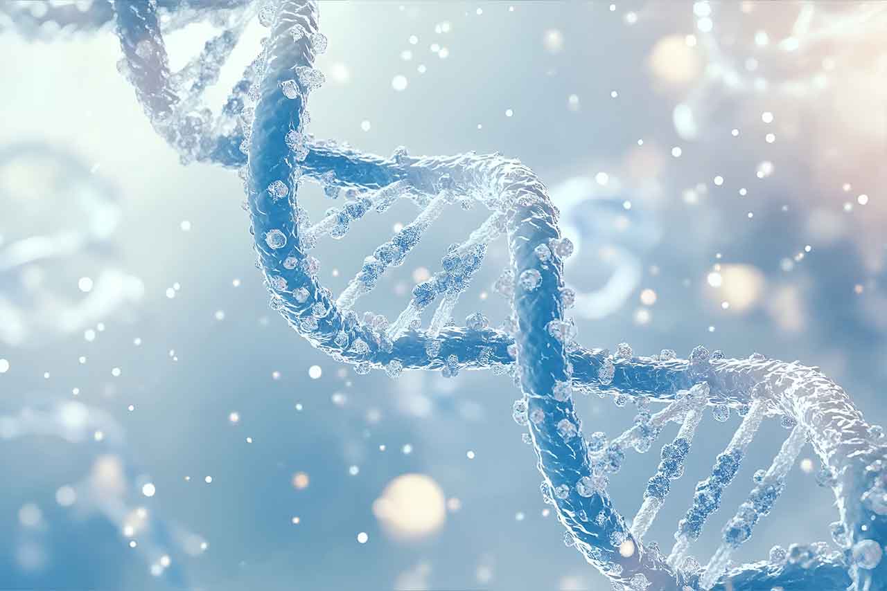 如何使用司美格魯肽筆？